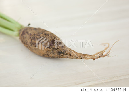 Radish with soil Radish with soil 3925244