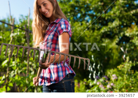 3925657