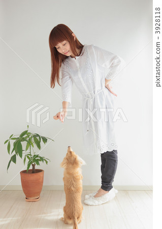 婦女和狗 3928118