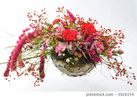 birthday, birthdays, celosia 3928154