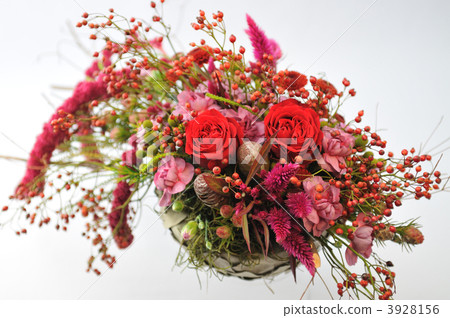 birthday, birthdays, celosia 3928156