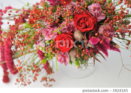 birthday, birthdays, celosia 3928165