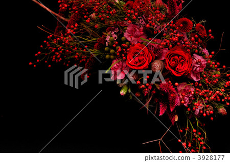 雞冠花 主題 題材 3928177