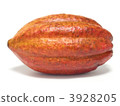 Cacao Pod 3928205