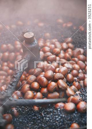 sweet chestnut 3928251