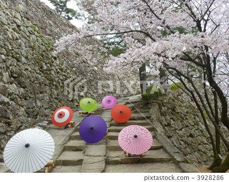 April 2010 Kochi Castle Event "Flower Corridor" April 2010 Kochi Castle Event "Flower Corridor" 3928286