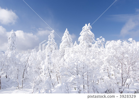 冬天，Orofure通行證 3928329