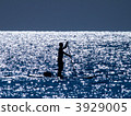 reflection, reflexion, reflections 3929005