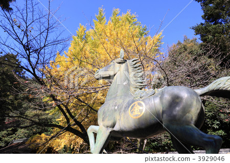 "Nishito cooperative copper horse" and Ginkgo bunko before going up to Kim Da Ru's Asahi Shrine "Nishito cooperative copper horse" and Ginkgo bunko before going up to Kim Da Ru's Asahi Shrine 3929046