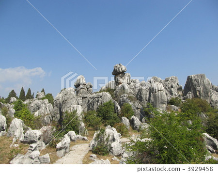 China Kunming's stone forest 3929458