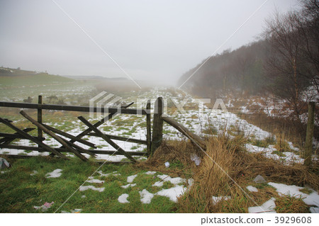 North Yorkshire Moors 3929608