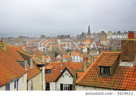Whitby Rooftops Whitby Rooftops 3929623