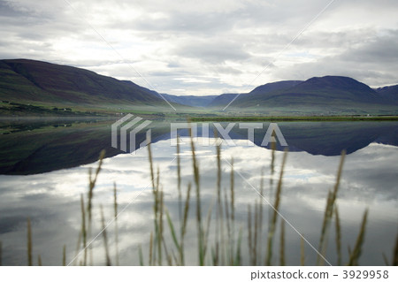 Lake and grass 3929958