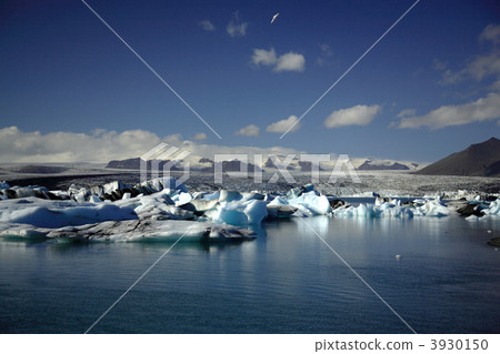 Hundreds of icebergs 3930150