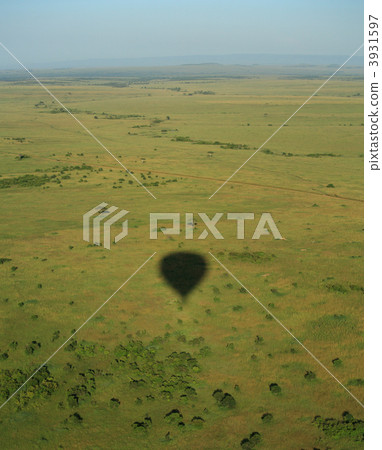 Balloon shadow over the Masai Mara Balloon shadow over the Masai Mara 3931597
