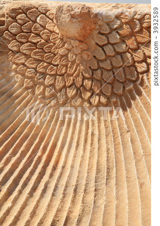 Close up of the Phoenix carving Hierapolis 3932589