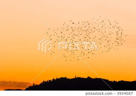 Mukudori和Mt. Takao Mukudori和Mt. Takao 3934087