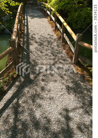 Sen-dong Imperial Colored Leaves Bridge 3934135