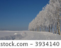 frost covered tree, frost-covered tree, row of japanese white birches 3934140