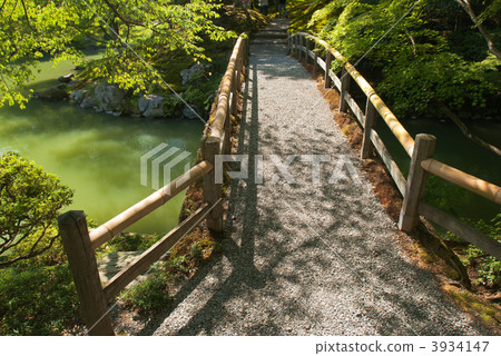 森洞皇家彩葉橋 3934147