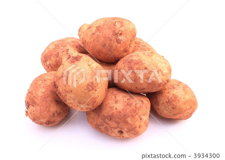 新土豆 新土豆 3934300