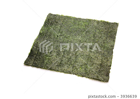 Seaweed 3936639