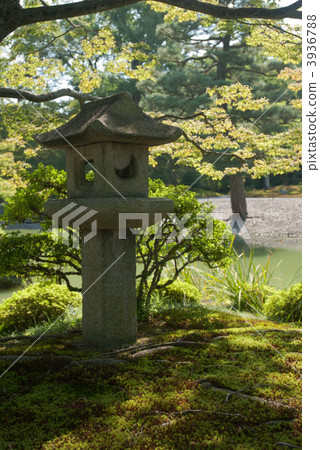 Minami池塘Senko故宮草陰影的燈籠 Minami池塘Senko故宮草陰影的燈籠 3936788