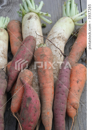 蔬菜 蔬菜 3937265