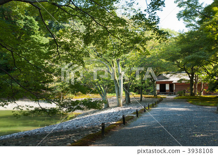 從Sen-dong Gosho櫻桃樹的Bonba看見的Hakkaedei 3938108