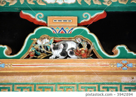 Sleeping cat Sleeping cat 3942894
