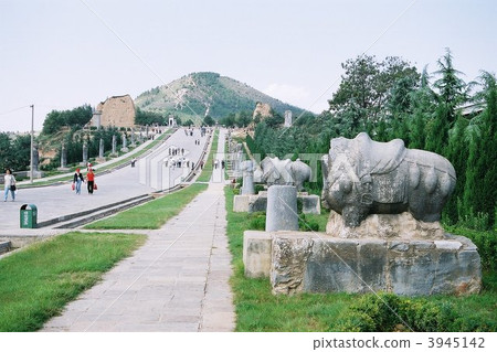 西安德林 西安德林 3945142