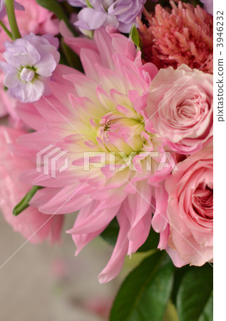 dahlia, dahlias, bloom 3946232