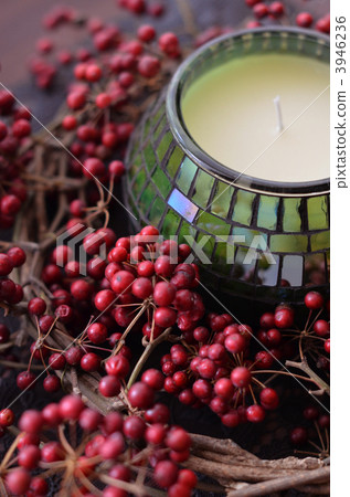 smilax glabra, candle, lease 3946236