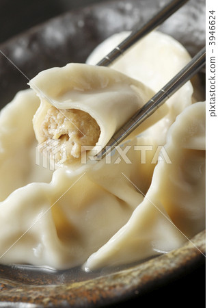 Gyoza  3946624