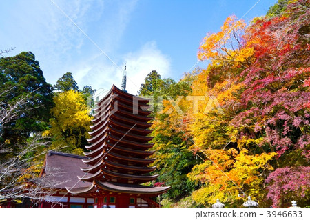 Shizuyama神社在秋天 3946633