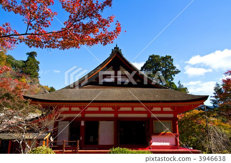 Shizuyama Shrine in the autumn 3946638