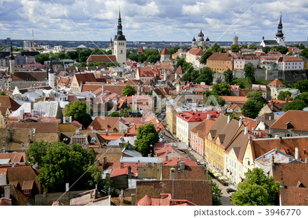 在塔林 在塔林 3946770