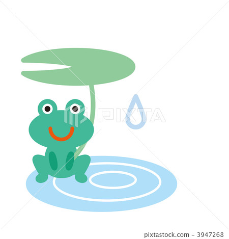 雨蛙 3947268