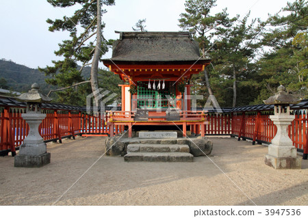 Kiyo Sight Shrine 3947536