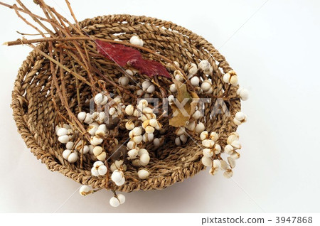 Nankinhase的果實 3947868