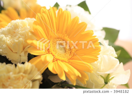 Bouquet 3948182