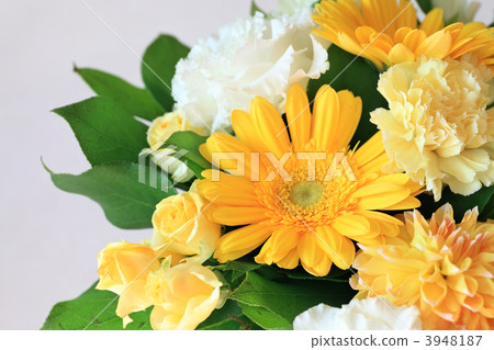 Flowers 3948187