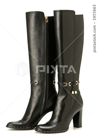 Knee-high boots Knee-high boots 3955665
