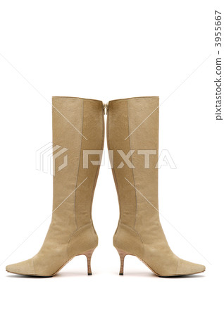 Knee-high boots Knee-high boots 3955667