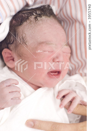 新生兒 3955740