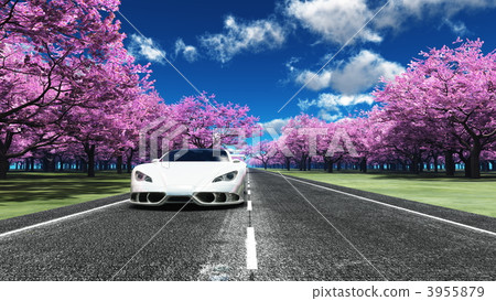 sportscar, cherry blossom, cherry tree 3955879