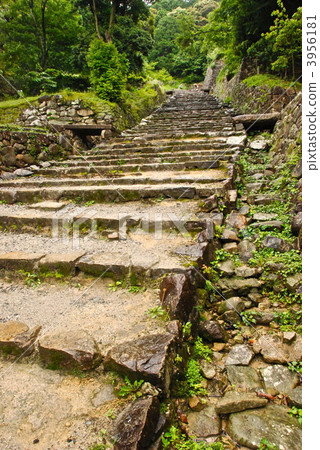 "A major road" of Azuchi castle race (Azucho-cho, Omihachiman-shi, Shiga prefecture) 3956181