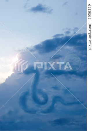 Snake cloud Snake cloud 3956339