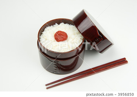 Hino Circle Bento Hino Circle Bento 3956850
