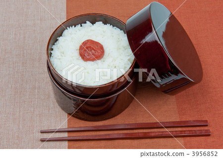 日野圈Bento 日野圈Bento 3956852
